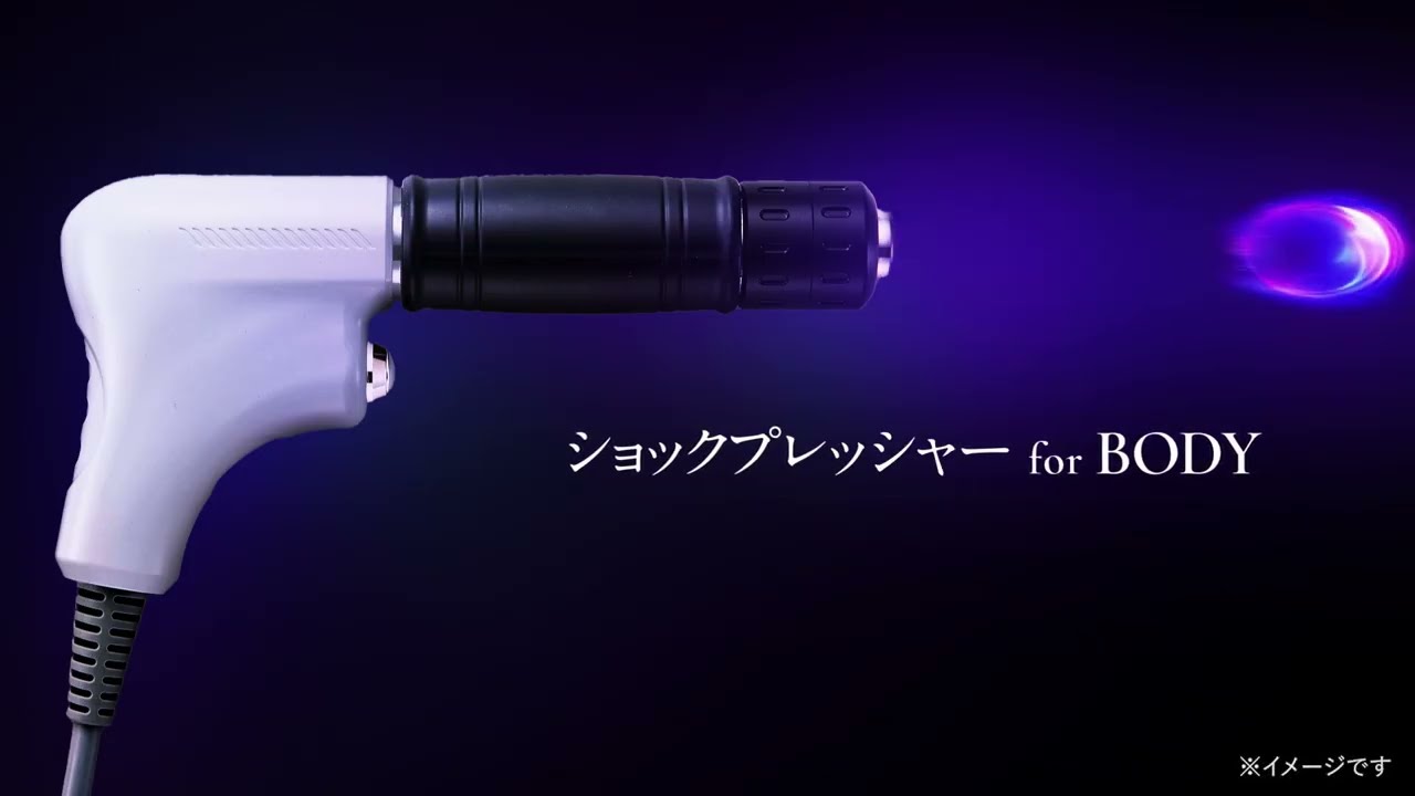 Perfect Master（パーフェクトマスター）の卸・通販 | ビューティガレージ