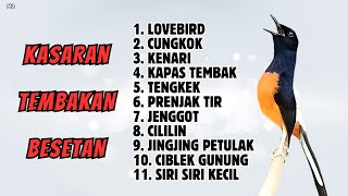 🔴 GACOR 2 JAM ‼️ MASTERAN MURAI BATU ISIAN MEWAH