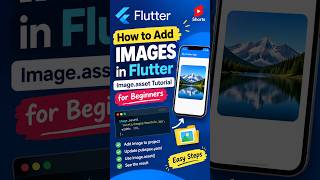How to Add Images in Flutter   Flutter Image asset Tutorial for Beginners #shorts