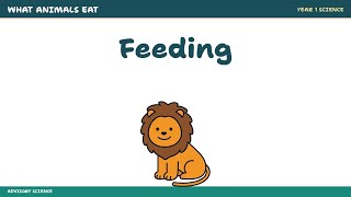 Year 1 Science Lesson: Feeding Groups | KS1 UK