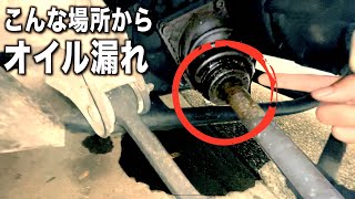 ポンコツの車検整備をしてたら〇〇に邪魔されてそれどころじゃなくなりました。笑