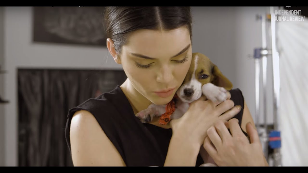 Kendall Jenner Plays with Puppies