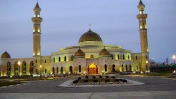 القارئ عماد ابوهدى