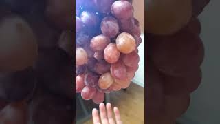 #sweetums#yummier#grapes