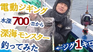 アブラボウズ60kgを電動ジギングでポッチっとボタン操作のみでキャッチ！