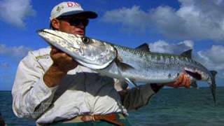 Monster Tarpon on Fly Crazy Barracuda Fishing in the Florida Keys