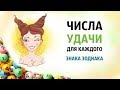 ЧИСЛА ПРИНОСЯЩИЕ УДАЧУ ПО ЗНАКУ ЗОДИАКА