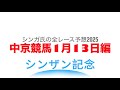 1月13日中京競馬【全レース予想】2025シンザン記念
