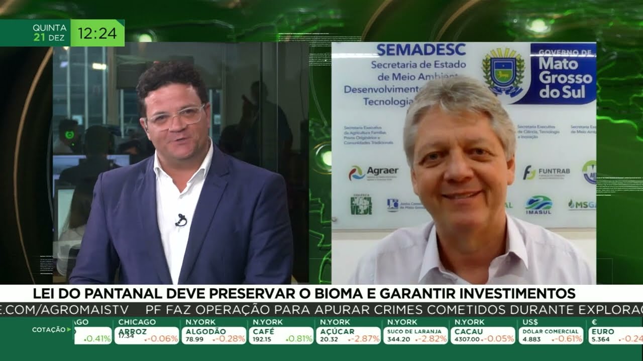 Lei do Pantanal deve preservar o bioma e garantir investimentos