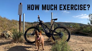 How Much Exercise Does an Australian Cattle Dog REALLY Need?