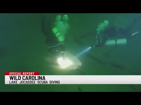 Wild Carolina: Scuba Diving at Lake Jocassee