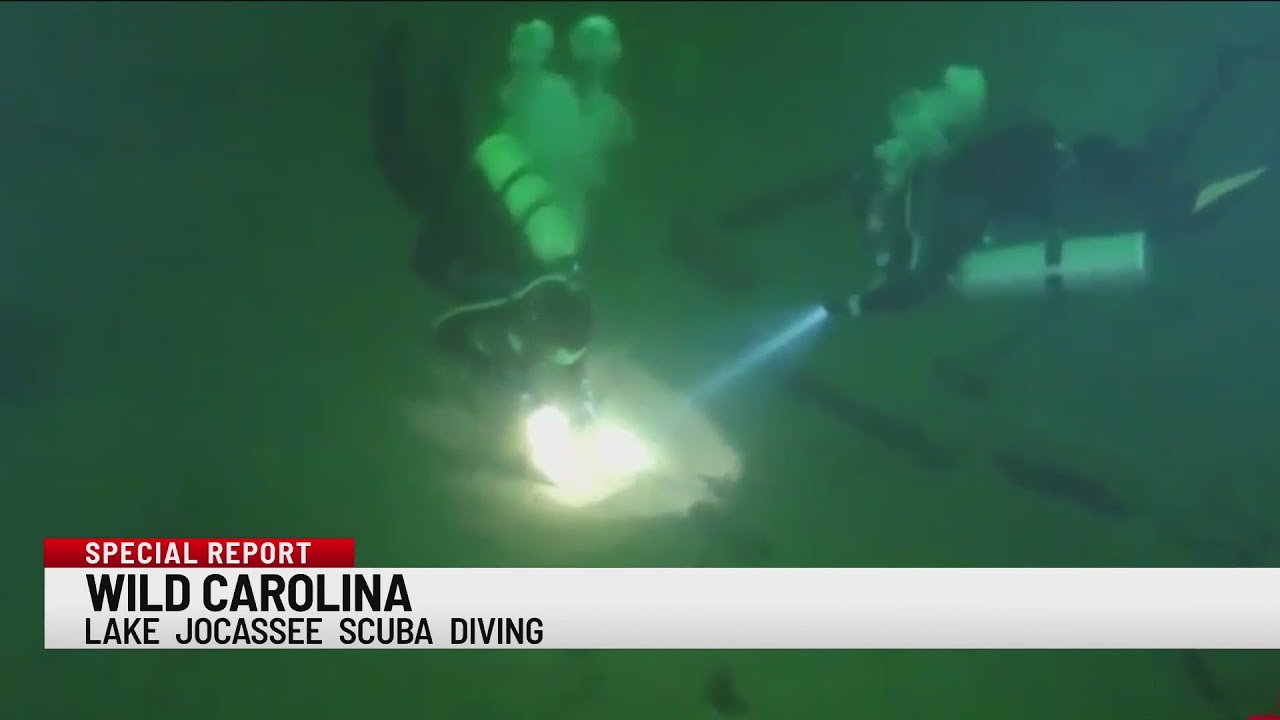 Wild Carolina Scuba Diving at Lake Jocassee YouTube