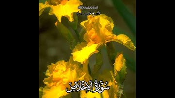 سورة الإخلاص الشيخ فارس عباد حالات واتساب تلاوه خاشعه،  ❤️