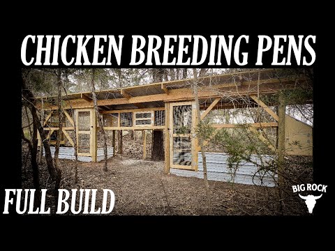Chicken Breeding Pens
