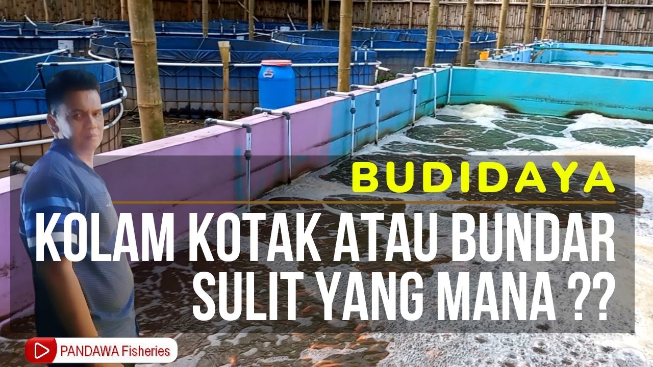 Kolam Bioflok Kotak atau Bundar Sulit Yang Mana