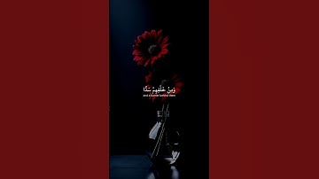 #ماهرالمعيقلي #تلاوة_خاشعة #رح_سمعك #اكسبلور #islam#viral #viral#300k#fyp#foryou #fyp #300k