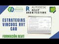 RAC N2 4 01 Estrategias Vincuos RVT CAD