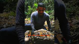 Title: USA River Gold Hunt 🪙 | Crazy Discovery!#viralvideo