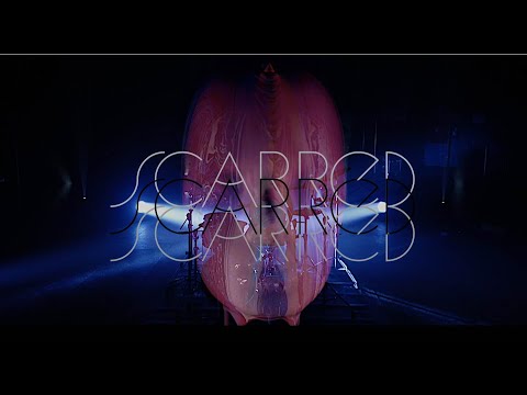 Scarred - AHAIA