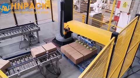 High cost effective type servo type cartonbox palletizing packing system