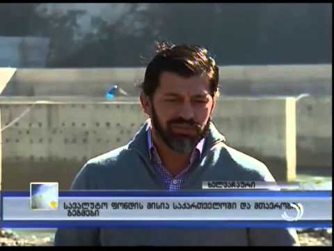 სავალუტო ფონდის მისია საქართველოში და მთავრობის გეგმები