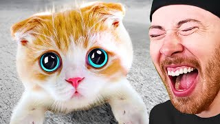 Try Not To Say AWW Challenge! (HARD)