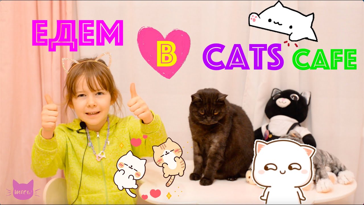 Едем в Cats cafe ^_^ КЭТС КАФЕ, где много котиков ! Ура!!!