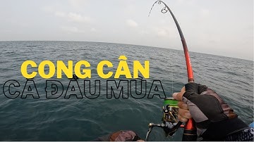 DUNGLEO FISHING! Vào mùa câu Jig cá Chéc biển Vũng Tàu, Dẫn đoàn khách nước ngoài đi câu!