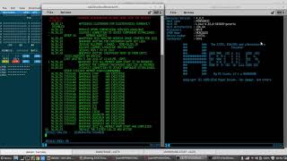 Mainframe Z/OS 1.10 Hercules on Linux screenshot 5