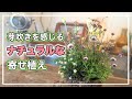 春を感じるナチュラルテイストの寄せ植え！【寄せ植え道場】