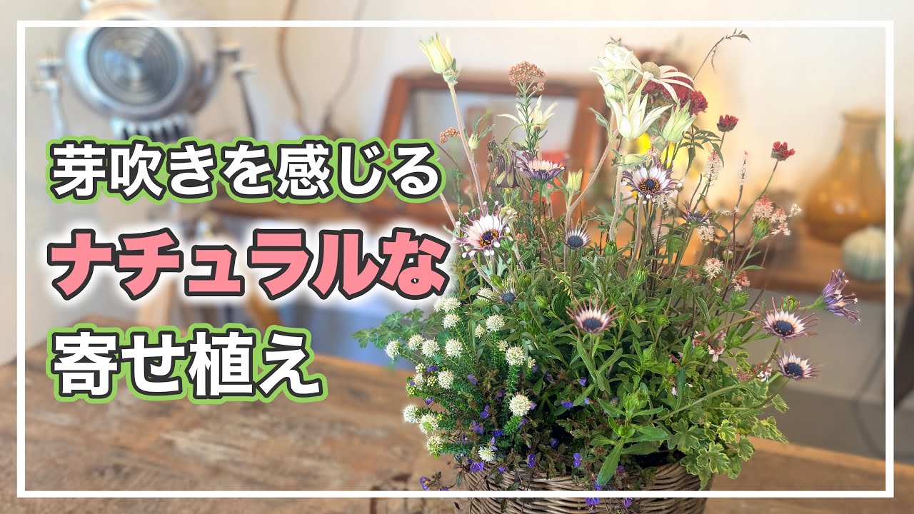 A natural-style container garden that evokes the feeling of spring