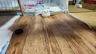 Miaouの配信のサムネイル画像