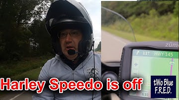 2020 Harley Davidson Speedo isn