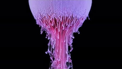 Multicolored Ink Paint Slowly Flows From the Ball | Stock Footage - Videohive