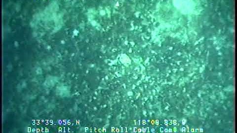 O-1-04-SC_Tape17-Vertical-2.mp4