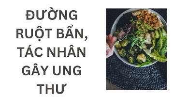 ĐƯỜNG RUỘT BẨN LÀ CĂN NGUYÊN CỦA BỆNH UNG THƯ| ĂN SẠCH