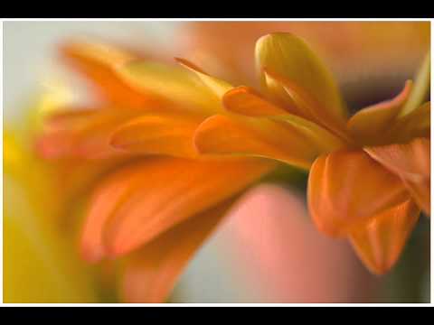 القارئ ناصر القطامي جزء عم كامل