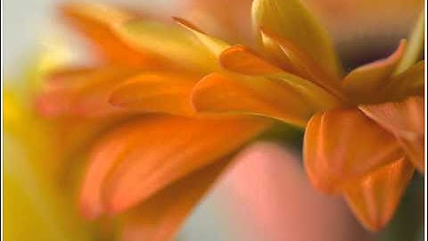 القارئ ناصر القطامي || جزء عم كامل !!