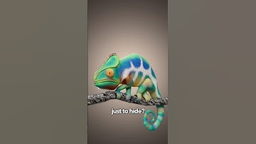Why Chameleons Change Color 🦎