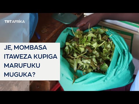Je, Mombasa itaweza kupiga marufuku muguka?