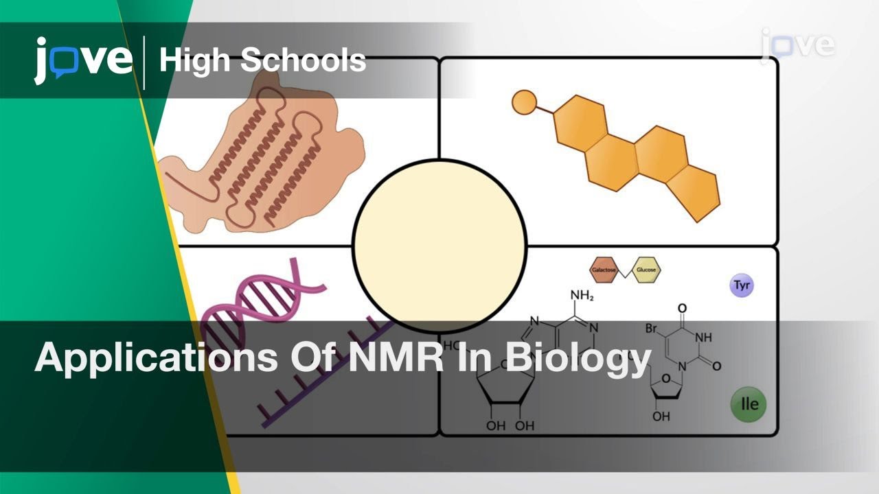 Applications Of NMR In Biology | Cell Bio | Video Textbooks - Preview