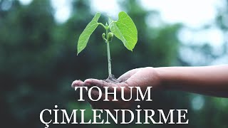 Tohum Çimlendirme Nasıl Yapılır ? ( Saksıda Fidan Yetiştirme )