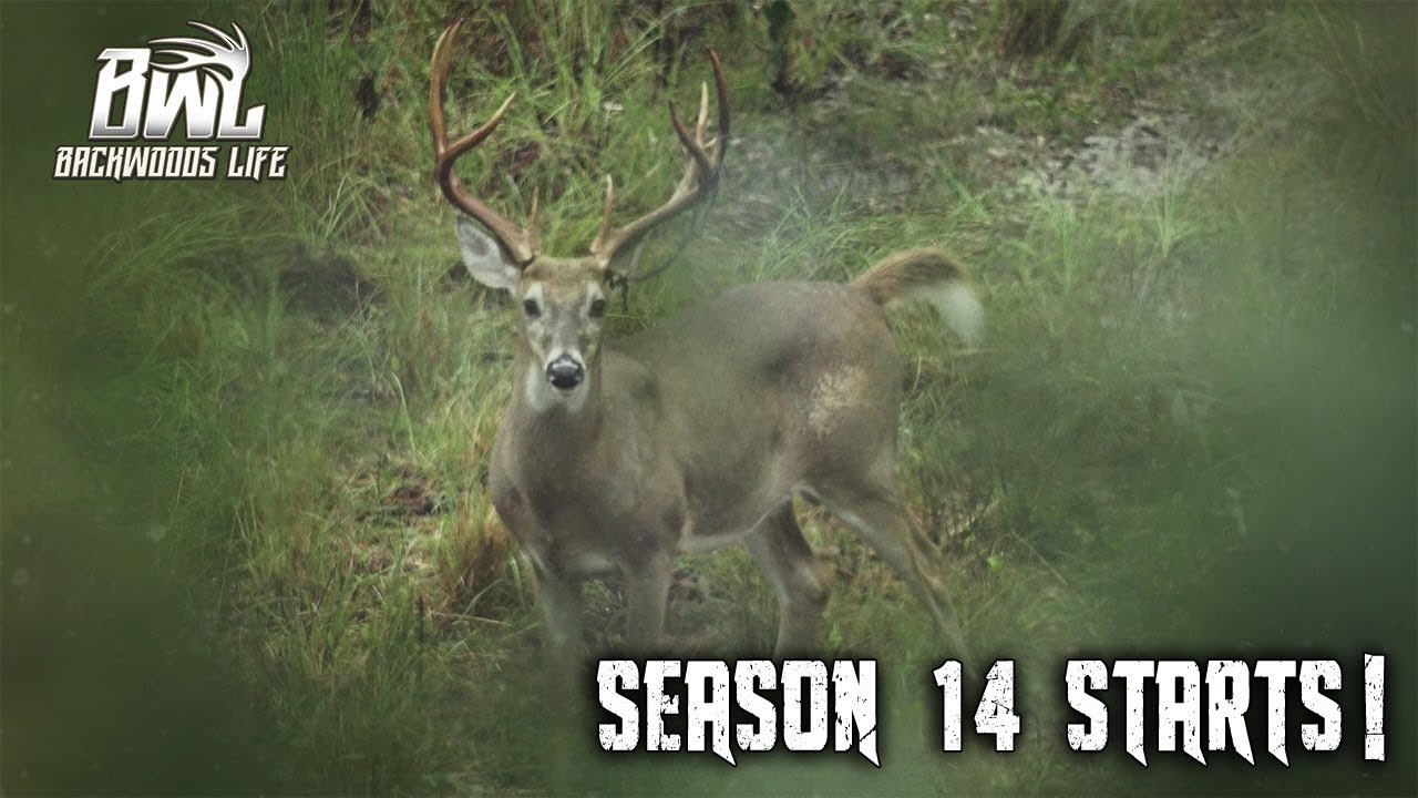 Season 14 of Backwoods Life Intro Video Trailer