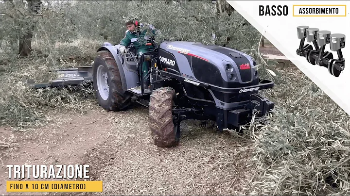 Trincia spostabile Attila - Shredders with side-shifting Attila agri