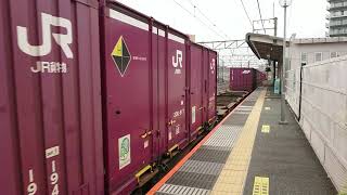 【EF66 #隅田川シャトル】6月7日八丁畷駅 #吹田A19運用 #75レ EF66-117 #EF66117