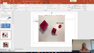 Cell Size Lab Intro