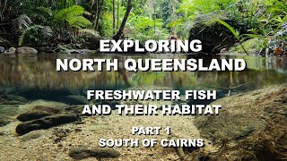 Exploring Cairns North Queensland Freshwater Fish and Their Habitat Part One South of Cairns.