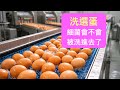 洗選蛋怎麼洗