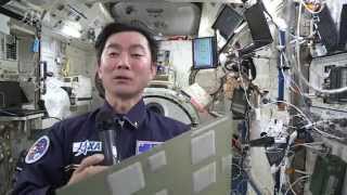 『宙亀通信』(Vol.19)  「宇宙未来新聞」を宇宙にお届け！！