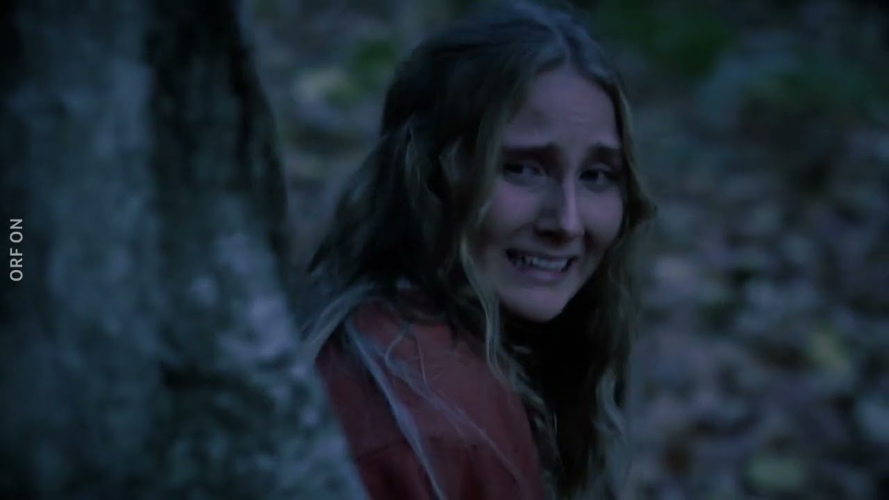 Universum History: Die Wikinger-Kriegerin - Amazone des Nordens (2019)